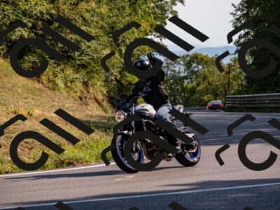 202508101702-_DSC4090_d2_