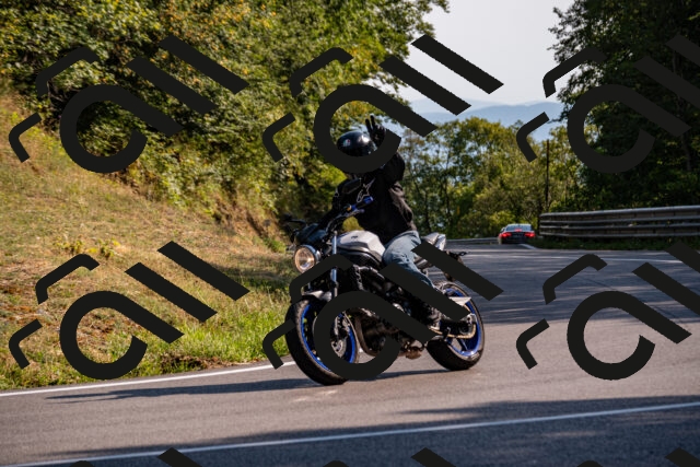 202508101702-_DSC4090_d2_