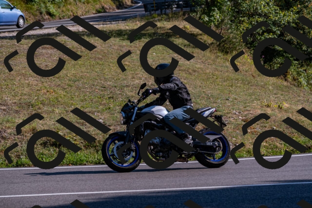 202508101702-_DSC4091_d2_