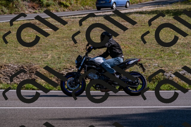 202508101702-_DSC4092_d2_