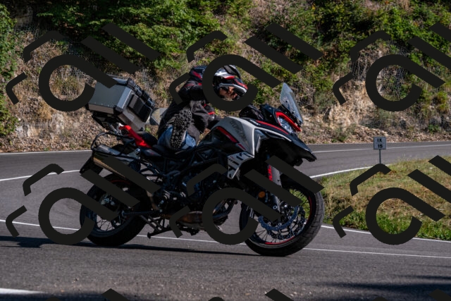 202508101704-_DSC4096_d2_