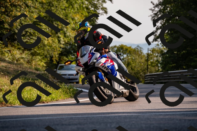 202508101713-_DSC4100_d2_