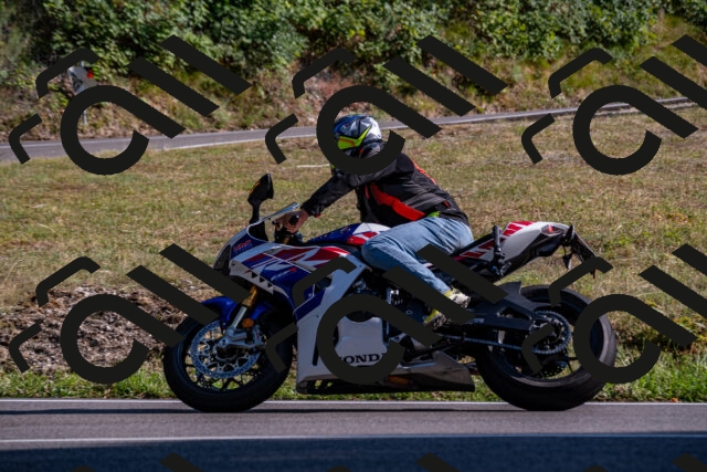 202508101713-_DSC4102_d2_