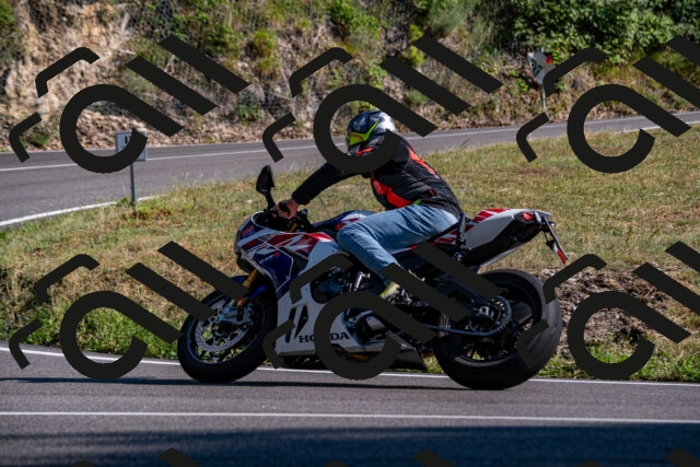 202508101713-_DSC4103_d2_