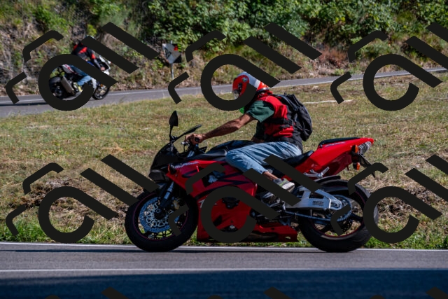 202508101713-_DSC4107_d2_