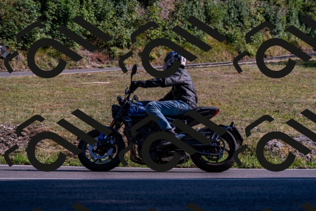 202508101713-_DSC4110_d2_