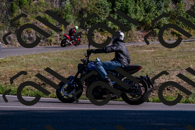 202508101713-_DSC4111_d2_