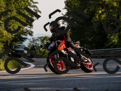 202508101720-_DSC4118_d2_