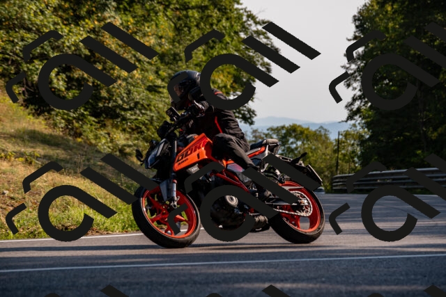 202508101720-_DSC4119_d2_