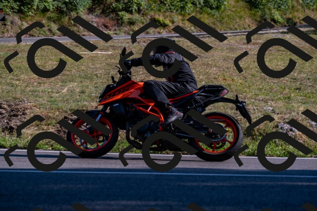 202508101720-_DSC4121_d2_