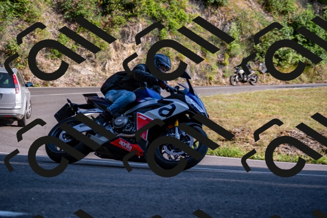 202508101740-_DSC4187_d2_