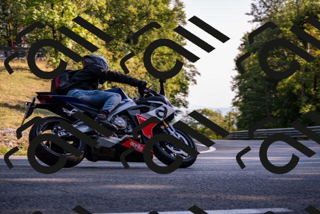 202508101740-_DSC4189_d2_