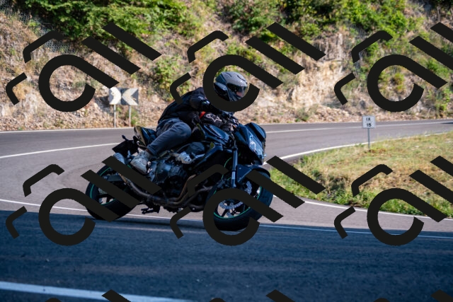 202508101740-_DSC4192_d2_