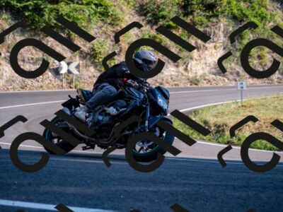 202508101740-_DSC4192_d2_