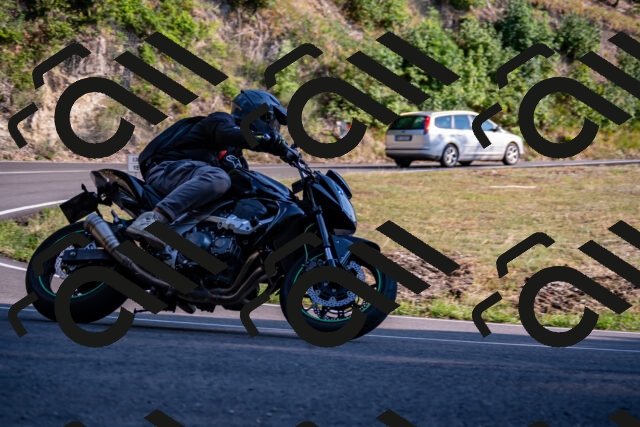 202508101740-_DSC4193_d2_