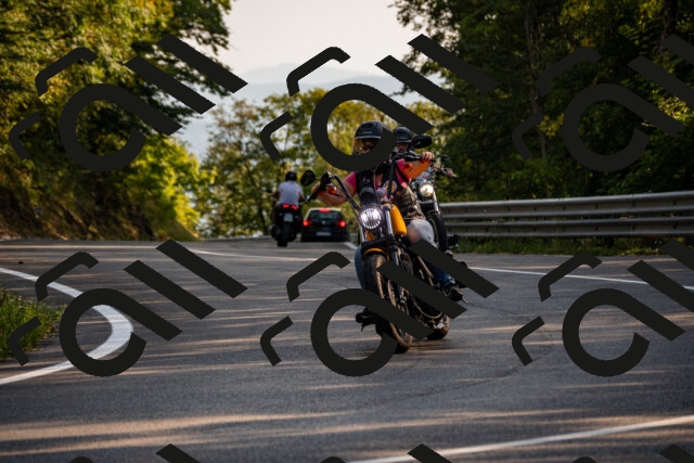 202508101741-_DSC4200_d2_