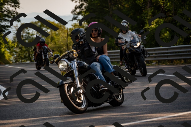 202508101742-_DSC4204_d2_