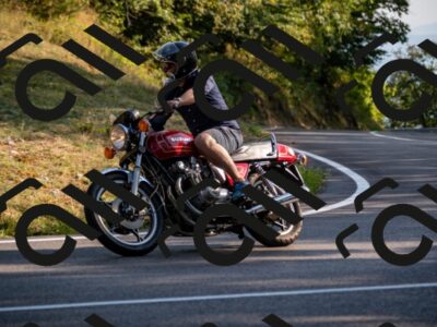 202508101742-_DSC4213_d2_