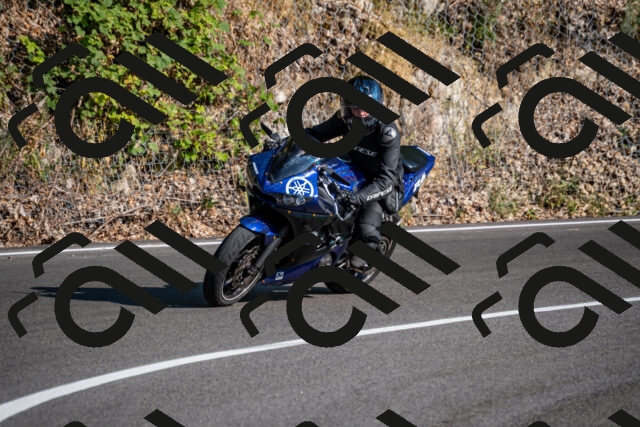 202508101743-_DSC4216_d2_