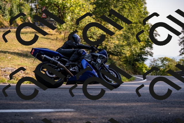 202508101743-_DSC4222_d2_