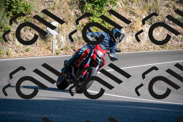 202508101743-_DSC4224_d2_