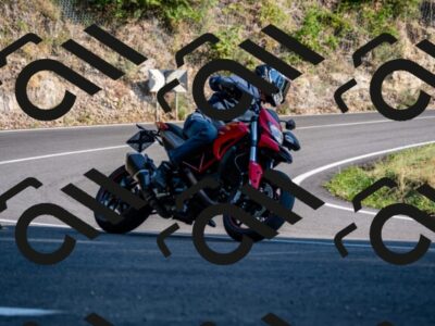 202508101743-_DSC4225_d2_