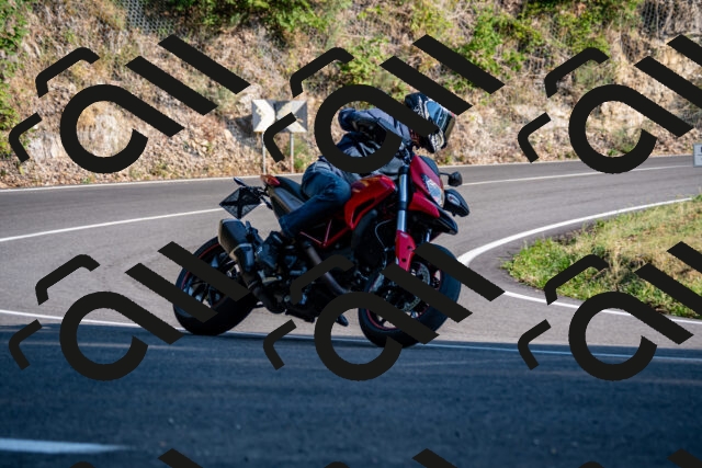 202508101743-_DSC4225_d2_