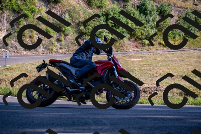 202508101743-_DSC4226_d2_