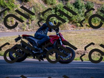 202508101743-_DSC4226_d2_