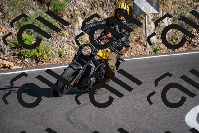 202508101745-_DSC4228_d2_