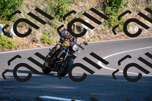 202508101745-_DSC4230_d2_