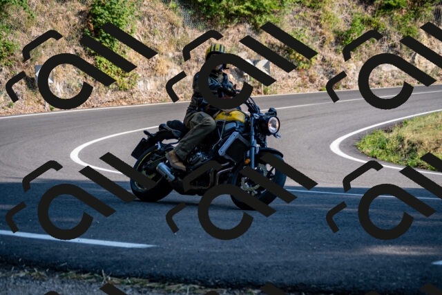 202508101745-_DSC4231_d2_