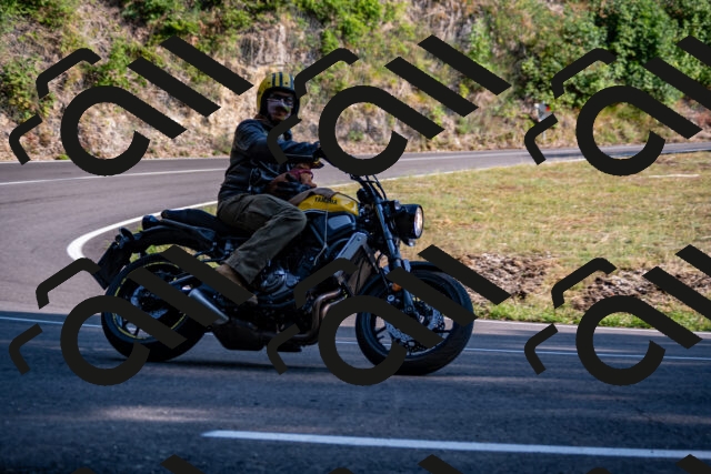 202508101745-_DSC4232_d2_