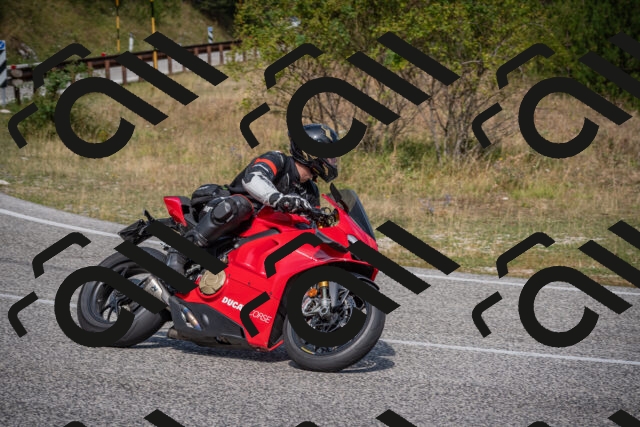 20250816110905-_5004853_am_