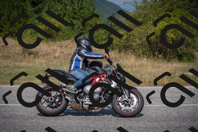 20250816114623-_5005197_am_