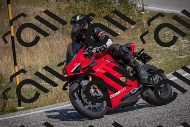 20250816114639-_5005200_am_