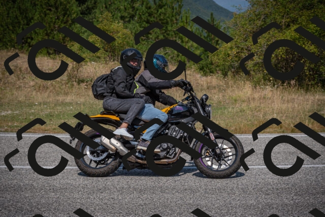 20250816115034-_5005238_am_