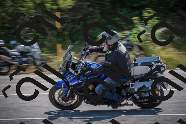 20250816115306-_5005257_am_