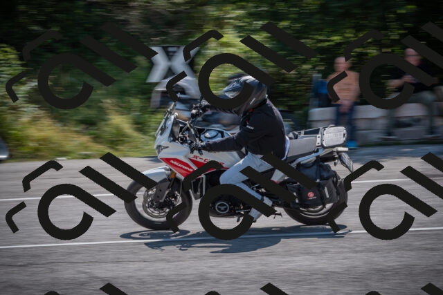 20250816115313-_5005267_am_