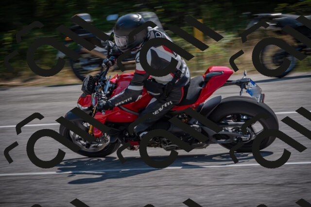 20250816115355-_5005289_am_