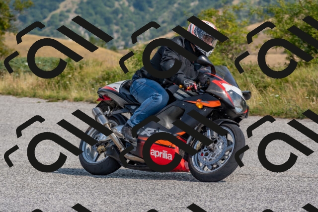 202508161040-DSC_6043_c4_