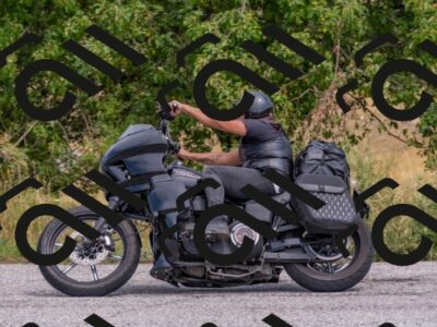 202508161208-DSC_6539_c4_