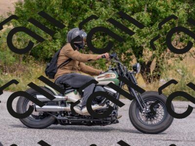 202508161210-DSC_6548_c4_