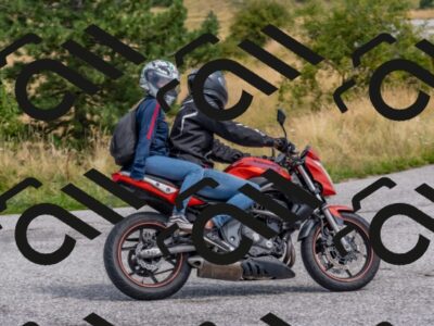 202508161211-DSC_6555_c4_