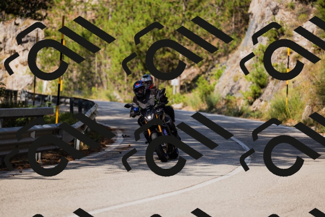 202508161011-_04A0263_c3