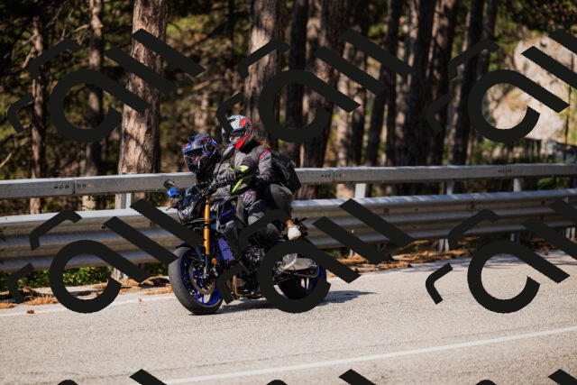 202508161011-_04A0264_c3