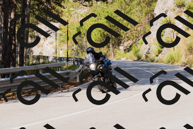 202508161015-_04A0271_c3