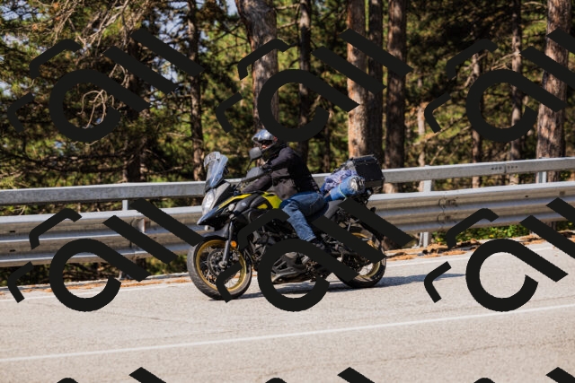 202508161015-_04A0272_c3