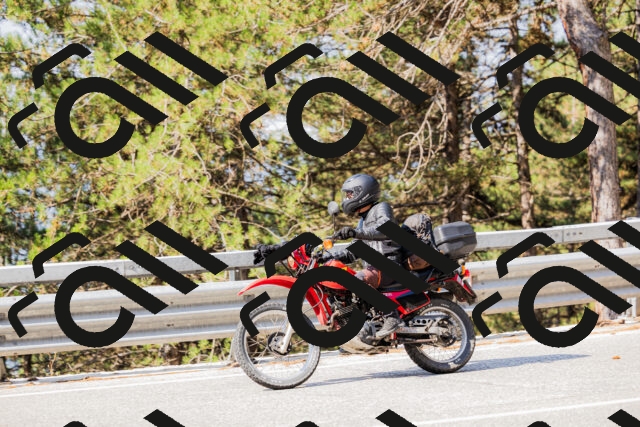 202508161015-_04A0275_c3