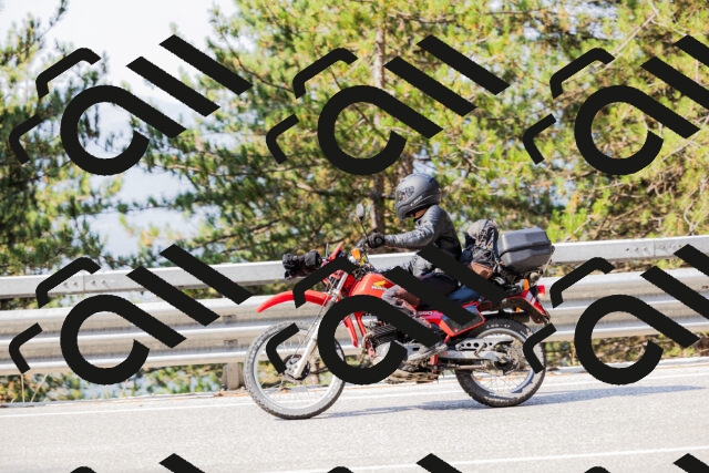 202508161015-_04A0276_c3